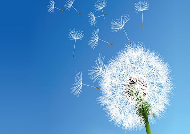 幼兒園、中小學(xué)等教育培訓(xùn)機(jī)構(gòu)安裝單向流新風(fēng)系統(tǒng)方案